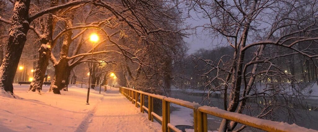 vabadusepuiestik-tartu-linnapark-visit-tartu-visitestonia-2