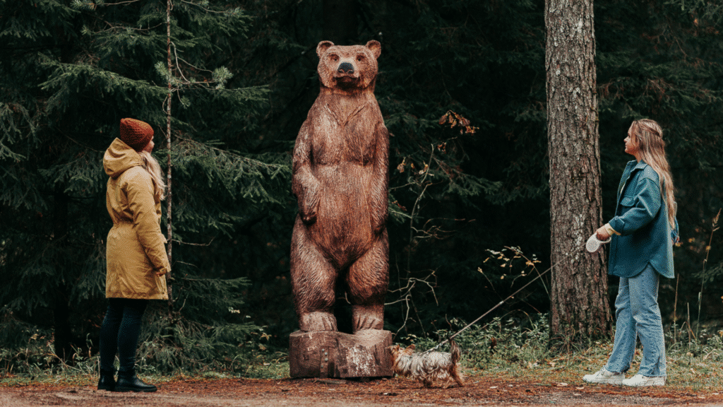 vaike-vaerada-011-visit-estonia