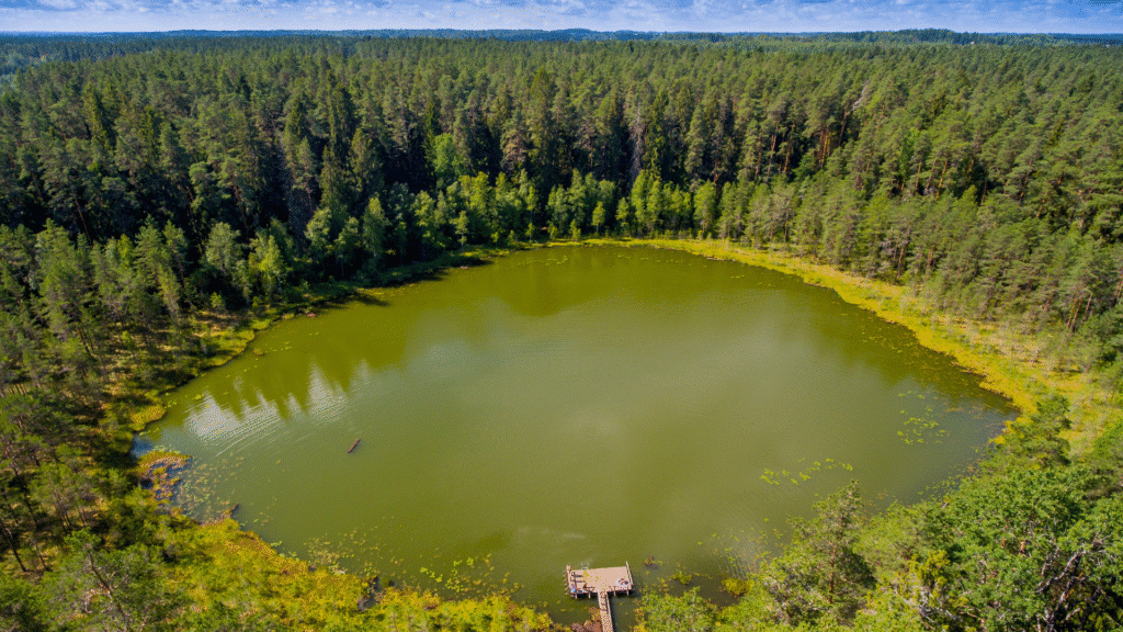 vaikse-jarve-ujumiskoht-012-visit-estonia