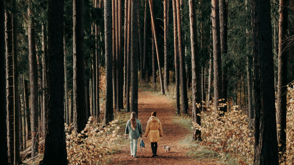 vaikse-jarve-ujumiskoht-015-visit-estonia