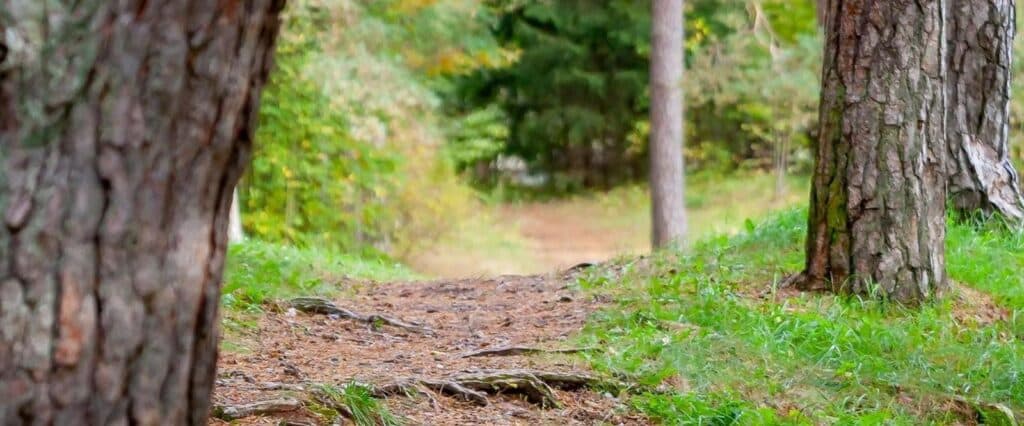 vapramae-nature-trail-study-trail-visit-elva-visit-tartu-visit-estonia-kayvo-kroon_