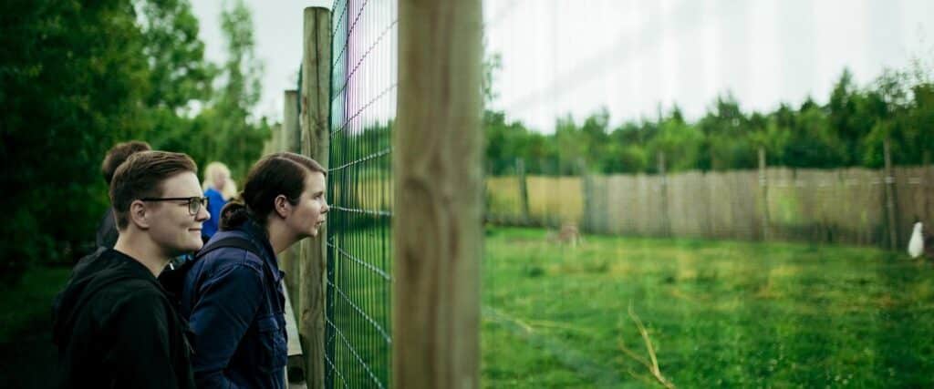 visit-estonia-animalfarm-mart-vares