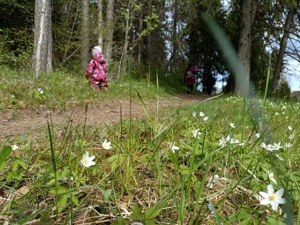 viti-seikluste-rada-haldjarada-017-visit-estonia