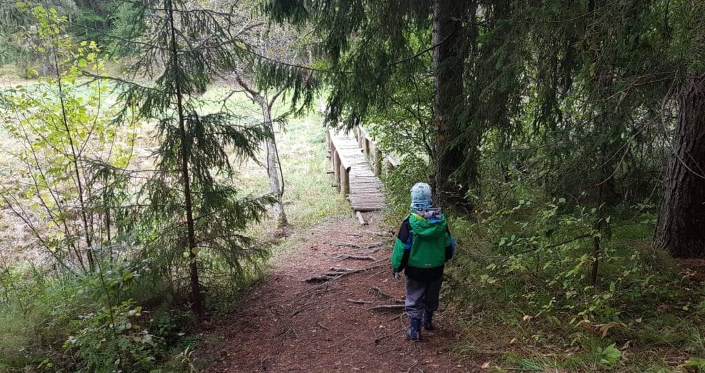 vitipalu-hiking-track-visit-estonia