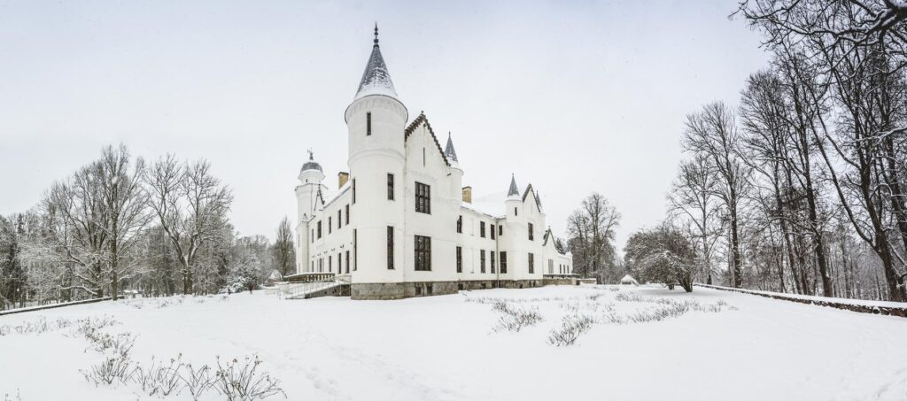 Image00303_vaikesed_