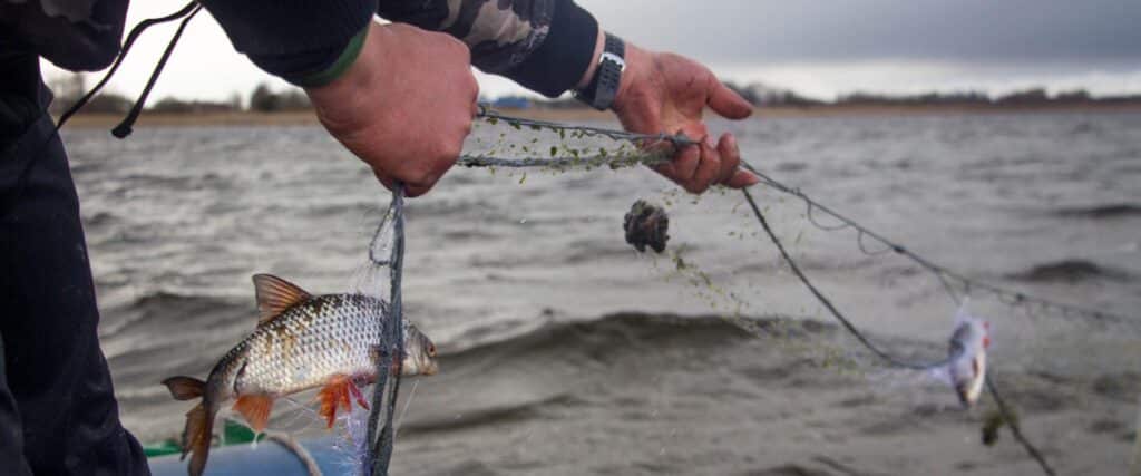 Peipsi village life workshop ‘Onion Route subbotnik’