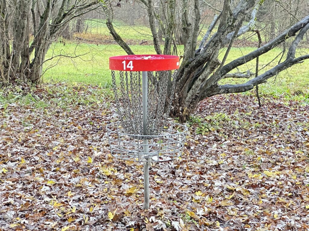 tartu-tahtvere-dendro-discgolfi-park-010-visit-estonia