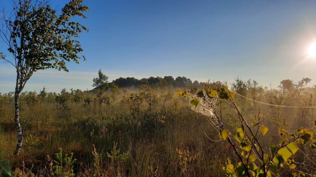 nature-tours-estonia-traditsiooniline-johvikaretk-emajoe-suursoos-004-visit-estonia