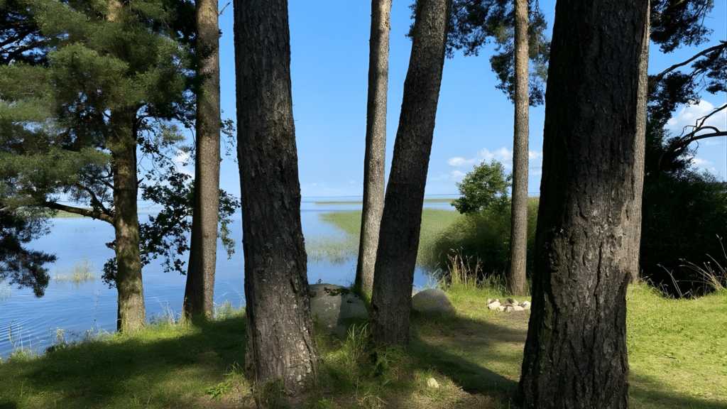 Trepimäe Recreation Area in summer with a view of Lake Võrtsjärv