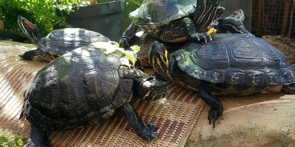 Tartu-Environmental-Education-Centre-visitestonia-visittartu-6