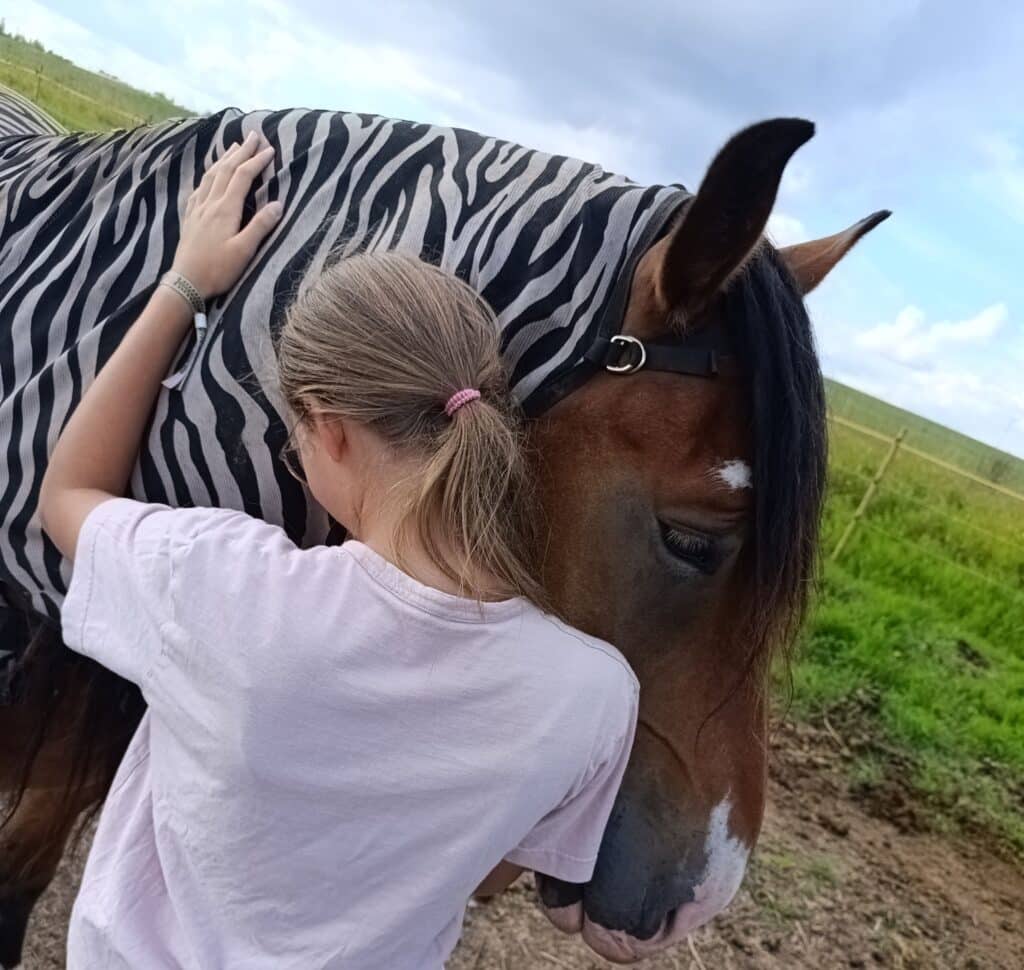 hobitalu-talu-ja-loomad-005-visit-estonia