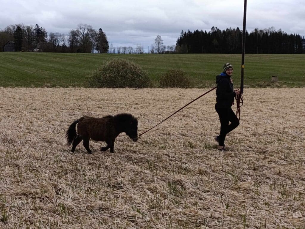 hobitalu-talu-ja-loomad-013-visit-estonia