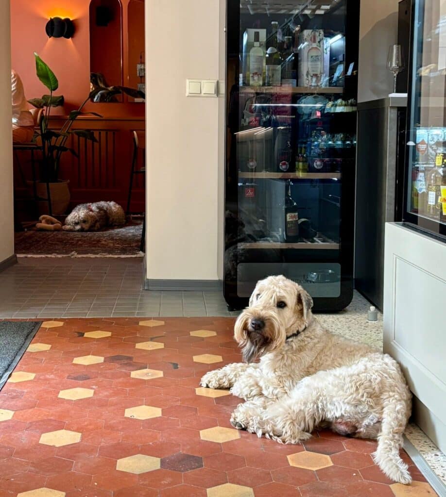 kohvik-veinibaar-aega-on-004-visit-estonia