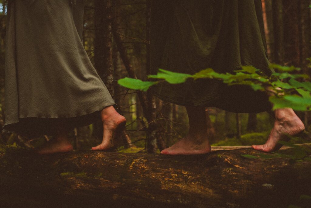 meelega-metsas-metsakumblusretked-louna-eestis-003-visit-estonia