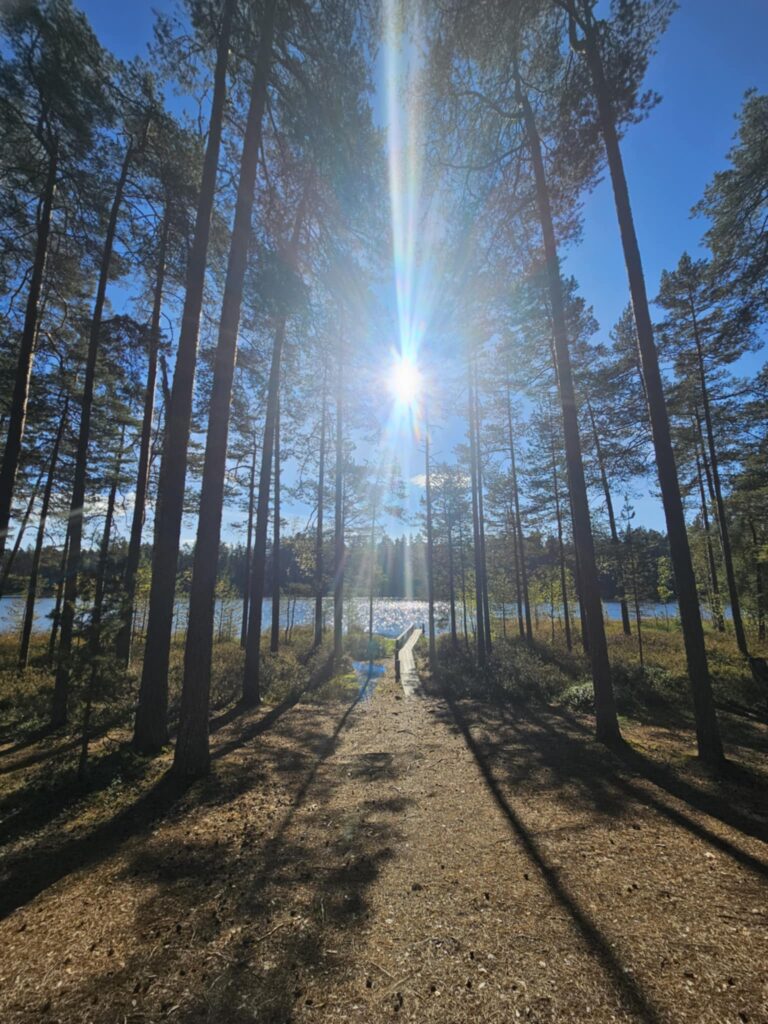 meelega-metsas-metsakumblusretked-louna-eestis-009-visit-estonia