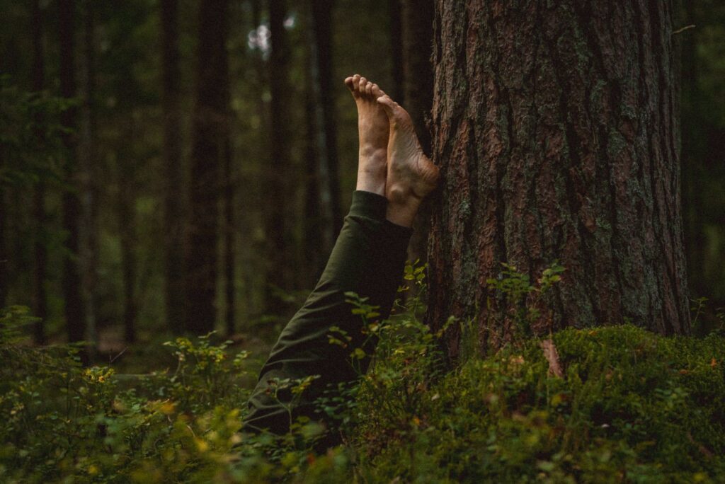 meelega-metsas-metsakumblusretked-louna-eestis-016-visit-estonia-1