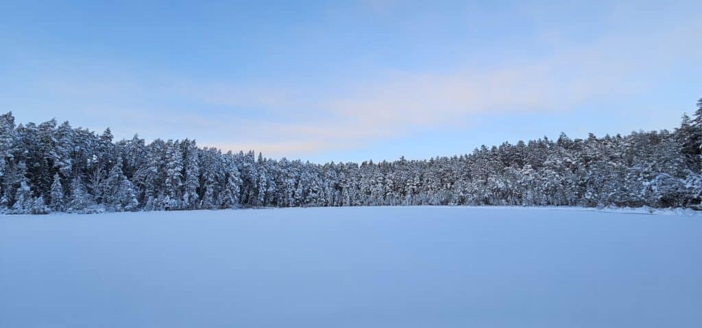 meelega-metsas-metsakumblusretked-louna-eestis-016-visit-estonia
