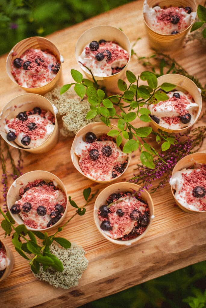 meelega-metsas-metsakumblusretked-louna-eestis-017-visit-estonia