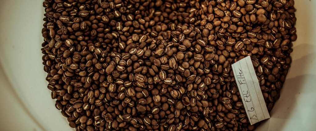 Karlova-kohv-visit-karlova-visit-tartu-visit-estonia2