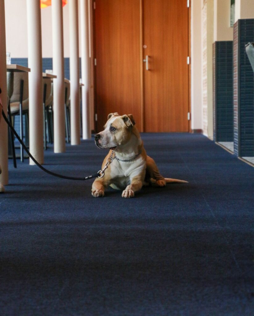 aplaus-1870-restoran-003-visit-estonia