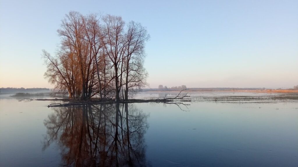 kanuurent-alam-pedja-kaitsealal-estonianwanderer-005-visit-estonia