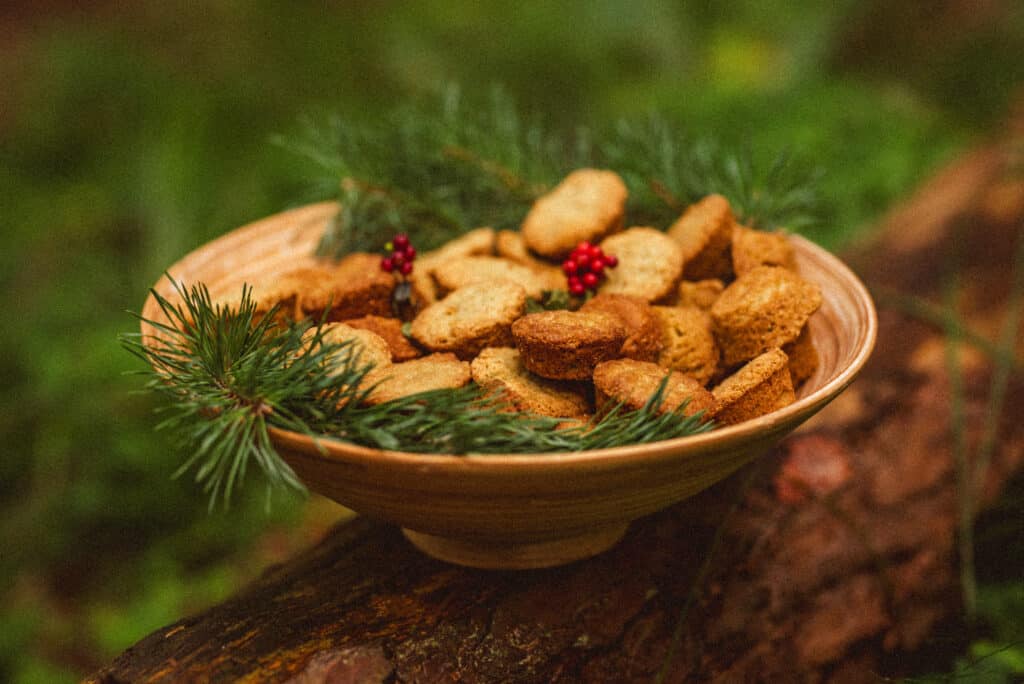 meelega-metsas-metsakumblusretked-louna-eestis-016-visit-estonia-2