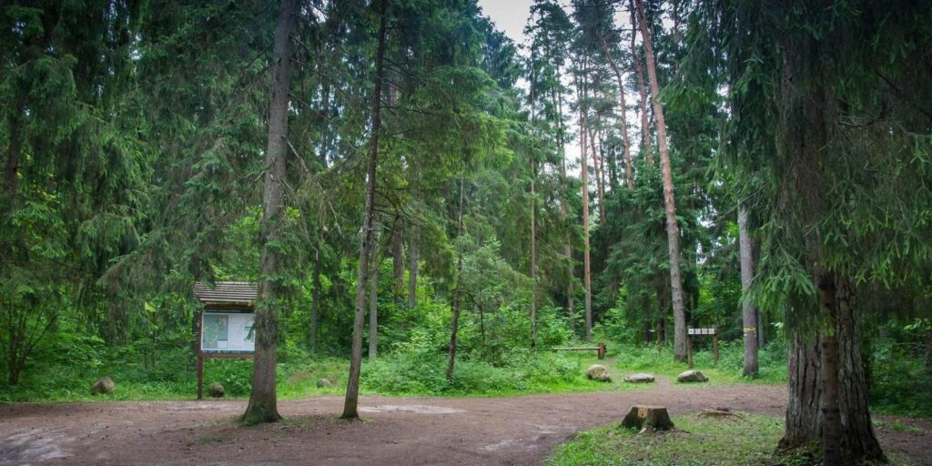 vapramae-nature-trail-study-trail-visit-elva-visit-tartu-visit-estonia-kayvo-kroon-1_