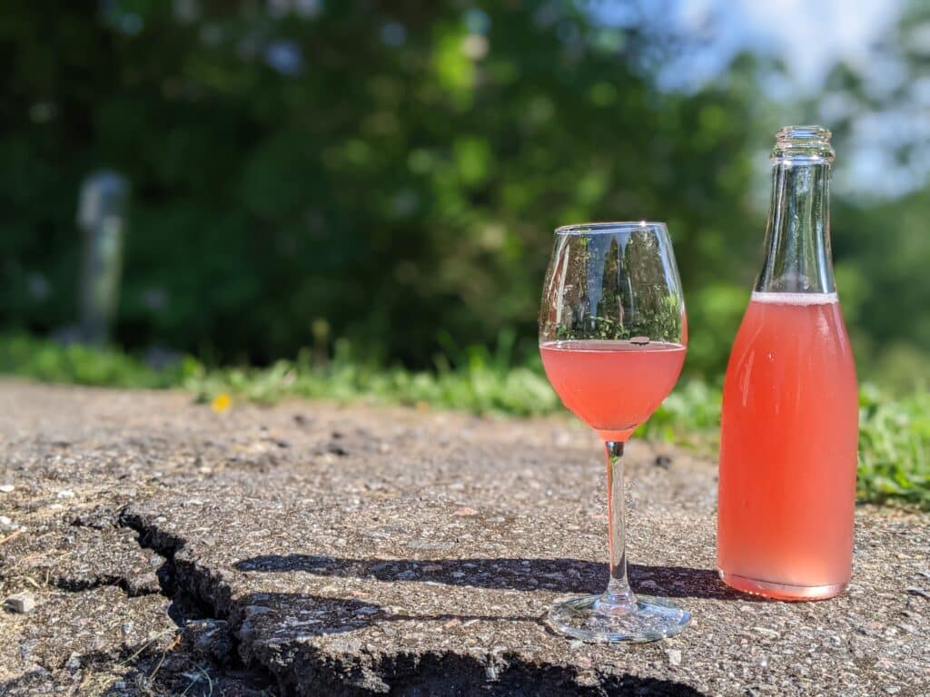 modukoja-tuur-koos-modude-mekkimisega-004-visit-estonia