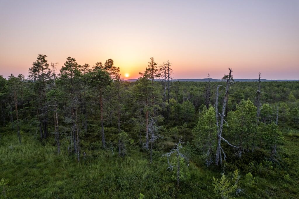 Early sunrise on the Emajõgi study trail